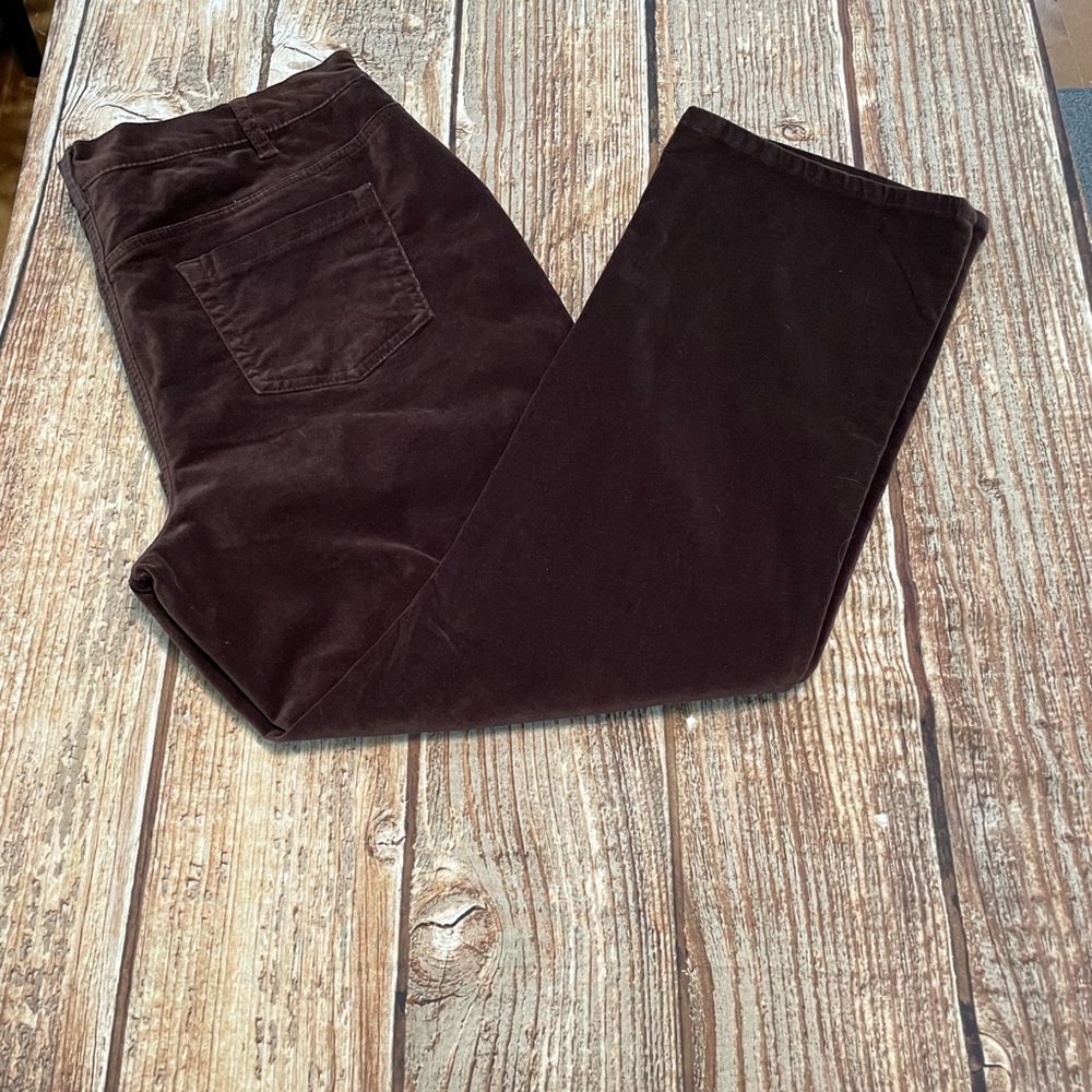 DG2  Diane Gilman Dark Brown Velvety Pants SZ 18W P